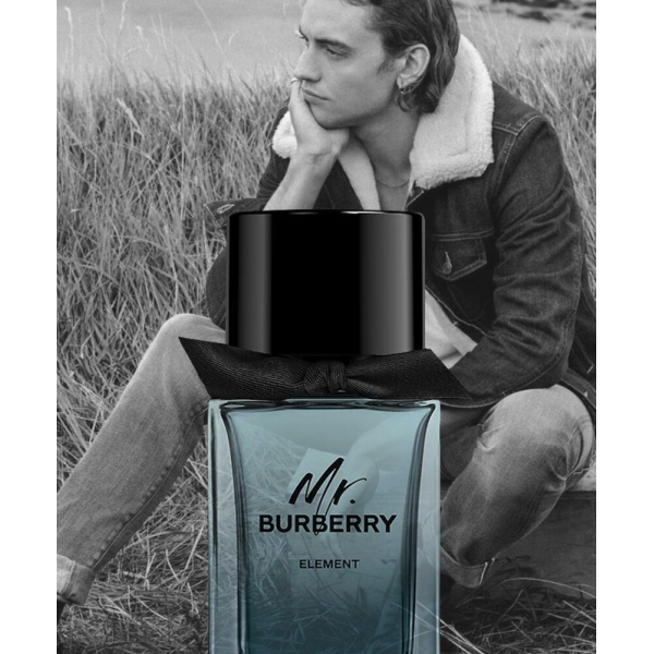 mr burberry element review