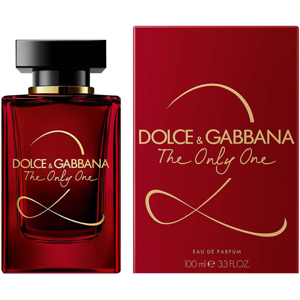 dolce &gabbana the only one