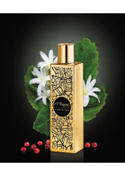 S.T. Dupont Pure Bloom EDP 100ml for Women Women's Fragrance