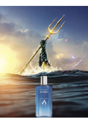 Davidoff Cool Water Aquaman EDT 125ml for Men Without Package Men's Fragrances without package