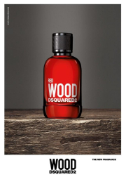 Dsquared2 Red Wood Set (EDT 100ml + SG 100ml + ...
