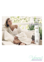 Elizabeth Arden White Tea Cream Deodorant 40ml for Women Women's face and body products