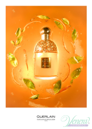 Guerlain Aqua Allegoria Mandarine Basilic EDT 125ml for Women Without Package Women's Fragrances without package
