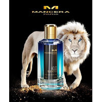 Mancera Aoud Blue Notes EDP 120ml for Men and Women Without Package Unisex Fragrances without package