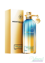 Montale Aoud Lagoon EDP 100ml for Men and Women Without Package Unisex Fragrances without package