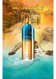 Montale Aoud Lagoon EDP 100ml for Men and Women...