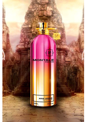 Montale Aoud Legend EDP 100ml for Men and Women