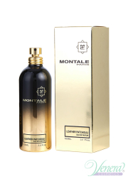 Montale Leather Patchouli EDP 100ml for Men and...