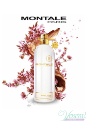 Montale Nepal Aoud EDP 100ml for Men and Women
