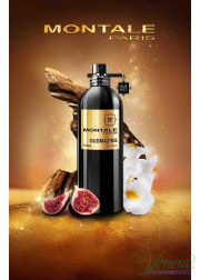 Montale Oudmazing EDP 100ml for Men and Women W...