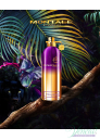 Montale Sensual Instinct EDP 100ml for Men and Women Without Package Unisex Fragrances without package