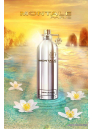 Montale Soleil de Capri EDP 50ml for Men and Women Unisex Fragrances