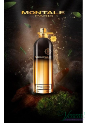 Montale Vetiver Patchouli EDP 100ml for Men and...