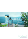 Dolce&Gabbana Light Blue Forever pour Homme EDP 100ml for Men Men's Fragrance
