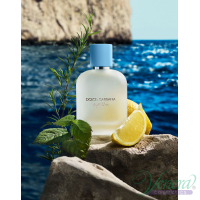 Dolce&Gabbana Light Blue Eau de Toilette 2025 EDT 100ml for Men Men's Fragrance