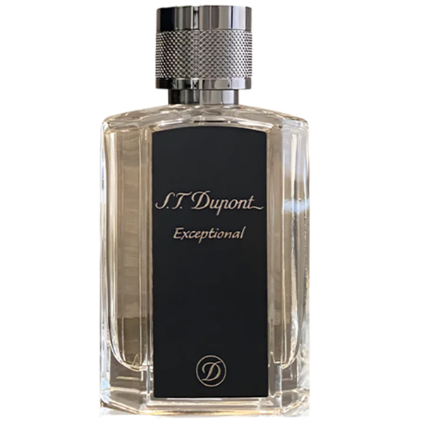 Dupont Exceptional EDP 100ml for Men