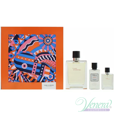 Hermes Terre D'Hermes Set (EDT 100ml + EDT 12.5ml + After Save Balm 40ml) for Men Men's