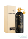 Montale Aqua Palma EDP 100ml for Men and Women Without Package Unisex Fragrances without package