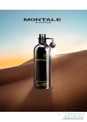 Montale Oud Edition EDP 100ml for Men and Women