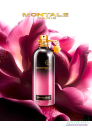 Montale Oud Fool Roses EDP 100ml for Men and Women Without Package Unisex Fragrances without package