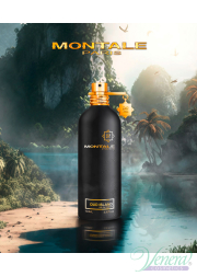 Montale Oud Island EDP 100ml for Men and Women
