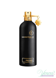 Montale Oudyssee EDP 100ml for Men and Women Wi...