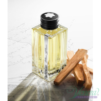 Montblanc Vetiver Glacier EDP 125ml for Men Without Package Men's Fragrance without package