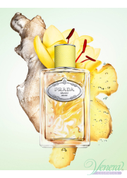 Prada Infusion de Gingembre EDP 100ml for Men and Women Without Package Unisex Fragrances without package Prada Infusion de Gingembre EDP 100ml for Men and Women Without Package Unisex Fragrances without package