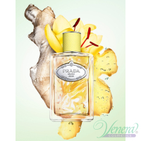 Prada Infusion de Gingembre EDP 100ml for Men and Women Without Package Unisex Fragrances without package