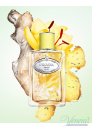 Prada Infusion de Gingembre EDP 100ml for Men and Women Without Package Unisex Fragrances without package