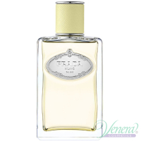 Prada Infusion de Gingembre EDP 100ml for Men and Women Without Package Unisex Fragrances without package
