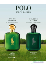 Ralph Lauren Polo Cologne Intense EDP 125ml for Men Without Package Men's Fragrances without package