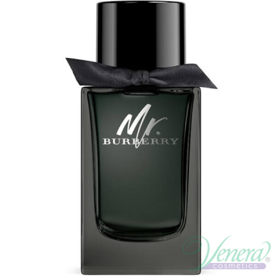 Burberry Mr. Burberry Eau de Parfum EDP 100ml for Men Without Package Men's Fragrances without package