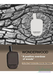 Comme des Garcons Wonderwood EDP 100ml for Men Men's Fragrance