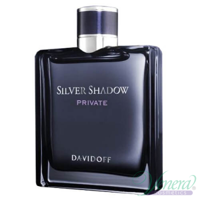 Davidoff Silver Shadow Private EDT 100ml for Men Without Package Men's