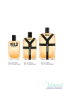 Dsquared2 Wild EDT 30ml for Men Men's Fragrance