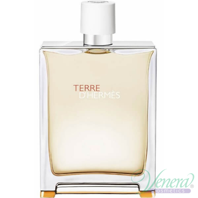 Hermes Terre D'Hermes Eau Tres Fraiche EDT 125ml for Men Without Package Men's Fragrance