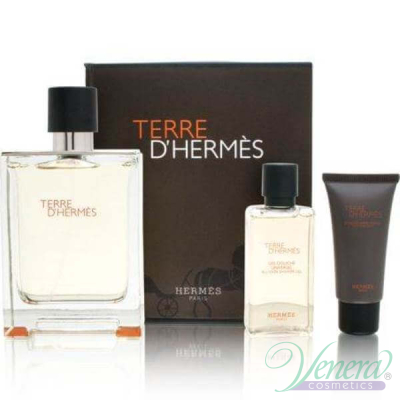 Hermes Terre D'Hermes Set (EDT 100ml + Shower Gel 40ml + After Save Balm 15ml) for Men Men's