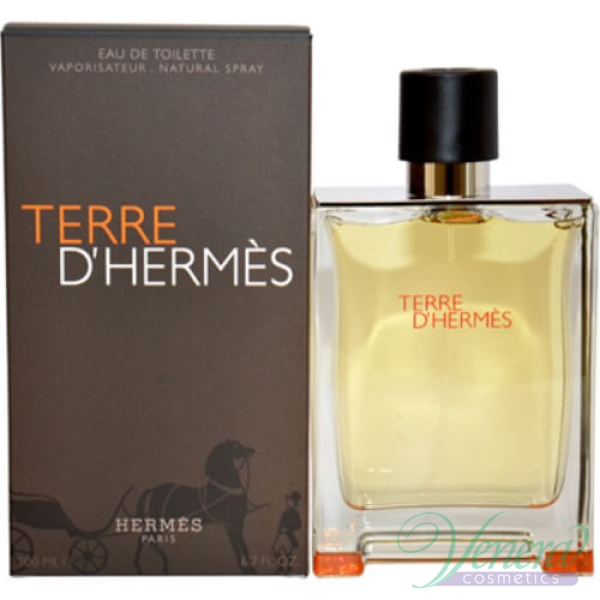 Hermes Terre D'Hermes EDT 50ml for Men 