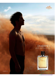 Hermes Terre D'Hermes Pure Parfum 75ml for Men Men's Fragrance