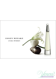 Issey Miyake L'Eau D'Issey EDT 100ml for Women Without Package  Women's