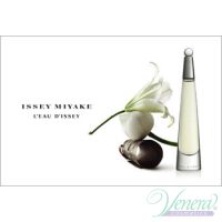 Issey Miyake L'Eau D'Issey EDT 100ml for Women Without Package 