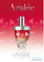 Lalique Azalee EDP 100ml for Women Women's Fragrance
