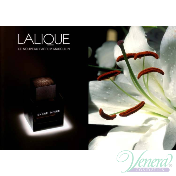 Lalique Encre Noire EDT 100ml for Men