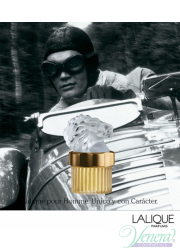 Lalique Pour Homme Lion EDP 125ml for Men Men's Fragrance
