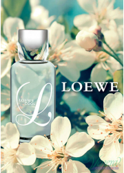 Loewe L Loewe Cool EDT 100ml for Women Without Package Women's Fragrances without package