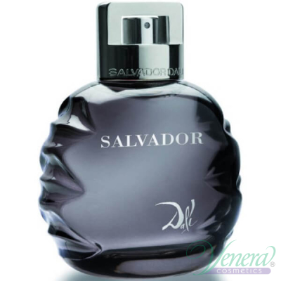 Salvador Dali Salvador EDT 100ml for Men Without Package Men's Fragrance without package